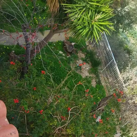 بيت للعطل La Casa Di Zia Ada Bovalino Superiore